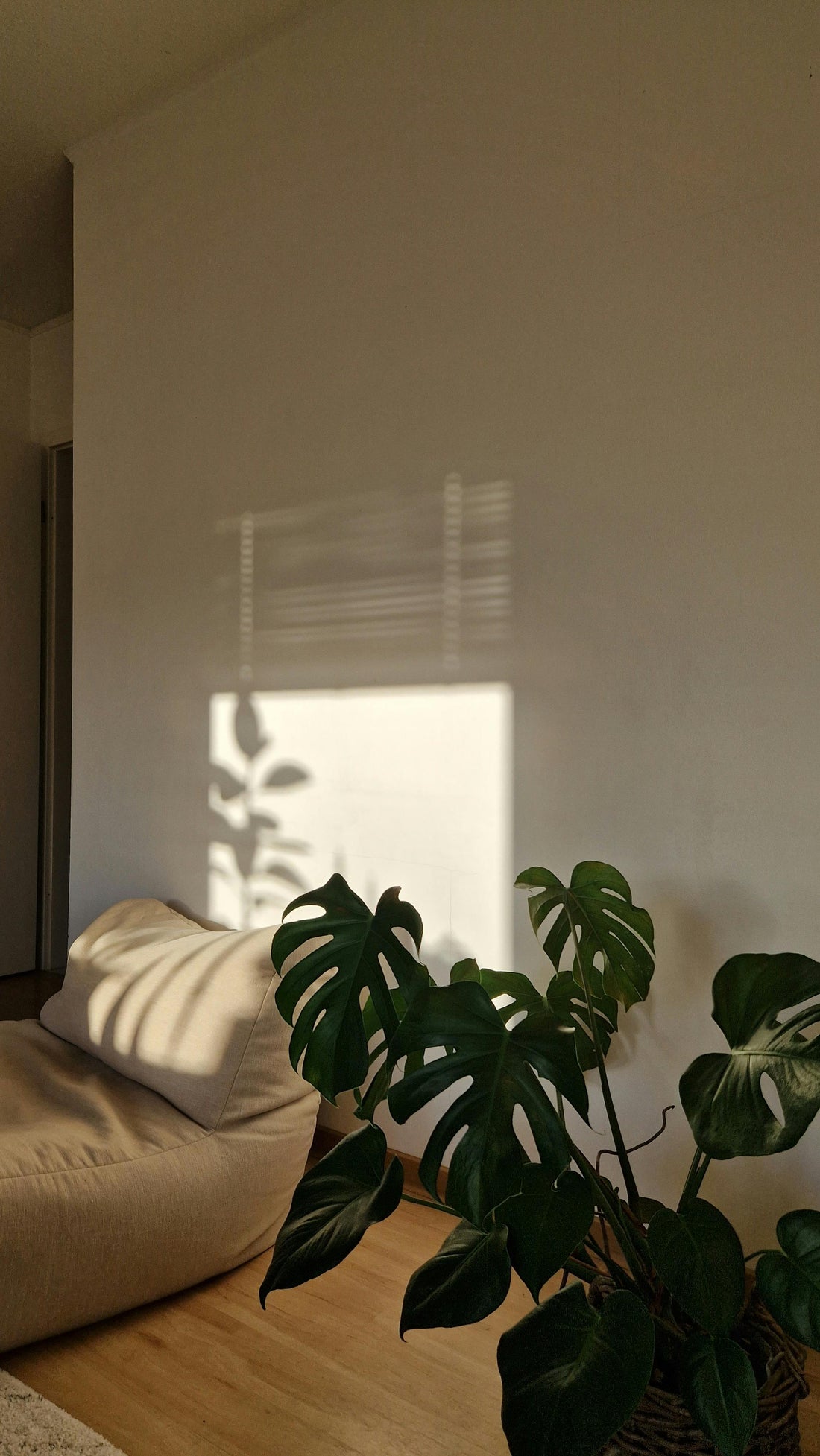 Why We Feel More at Ease When We Live with Natural Forms