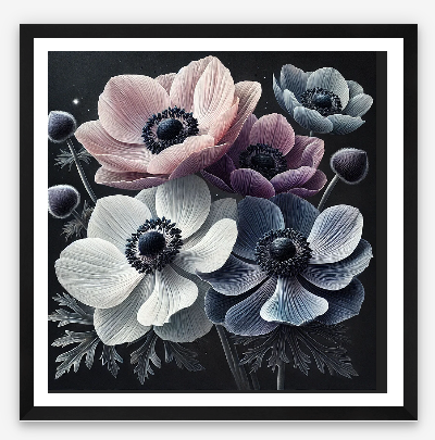 Anemone Bloom - Limited Edition