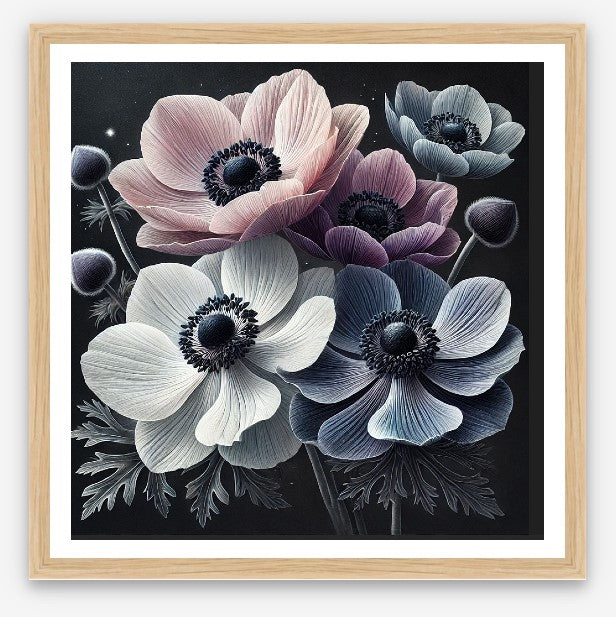 Anemone Bloom - Limited Edition