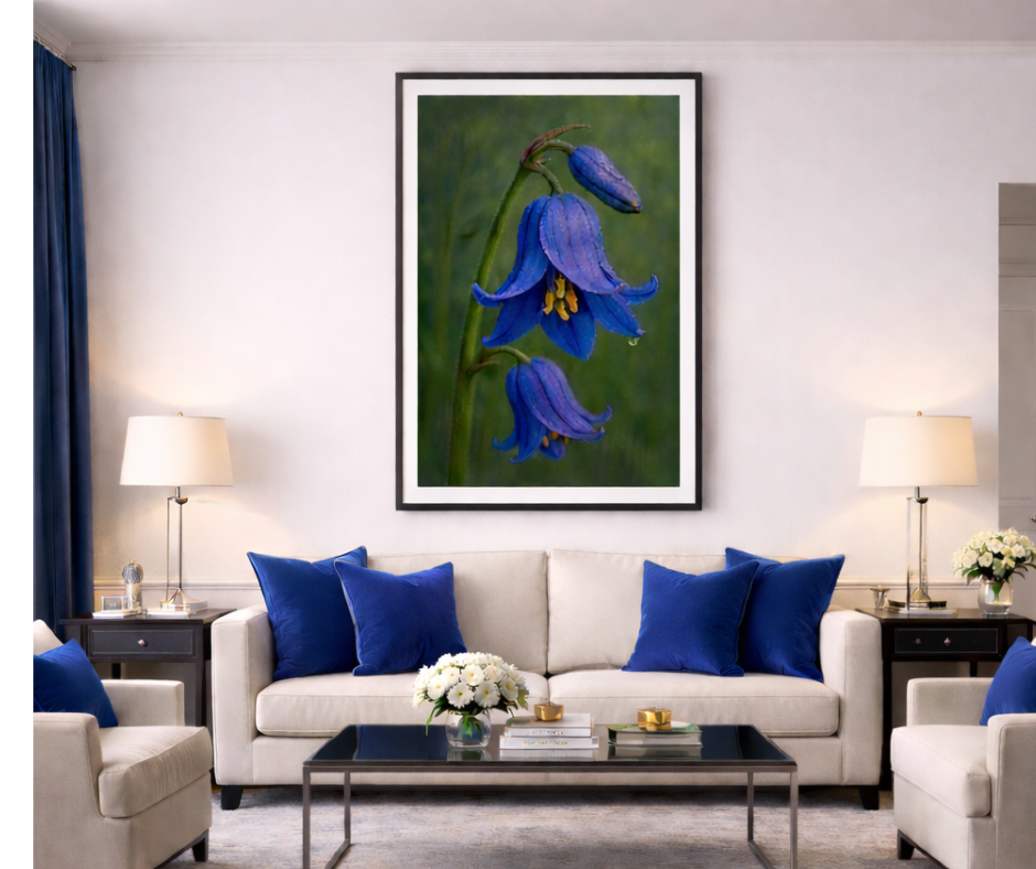 Bluebell Reverie - Limited Edition