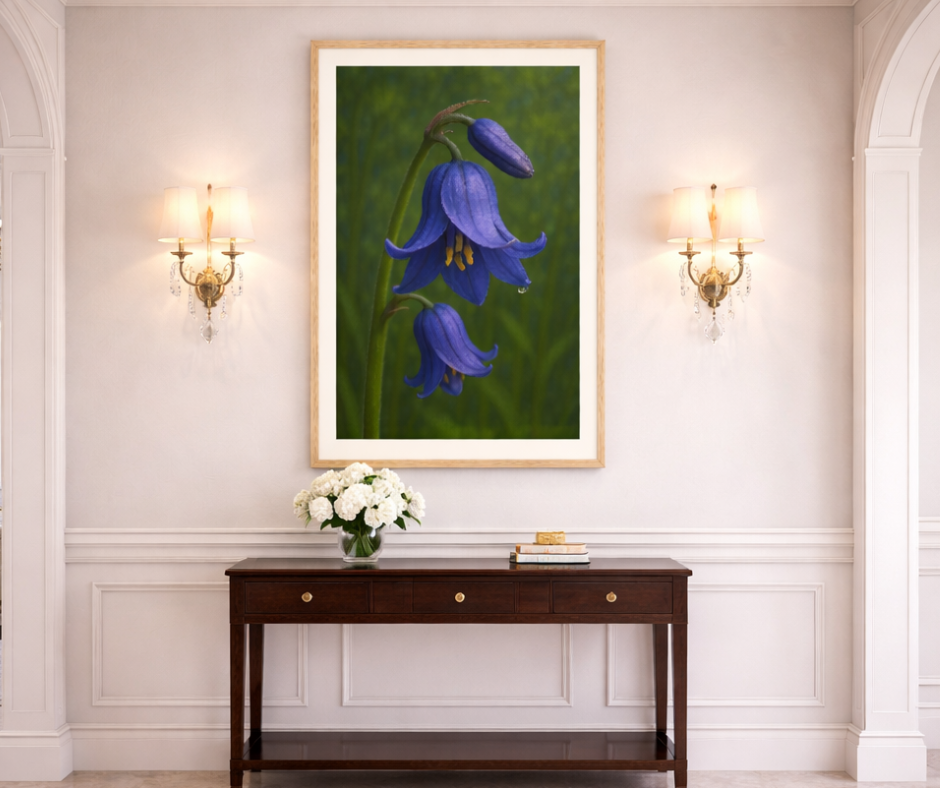 Bluebell Reverie - Limited Edition